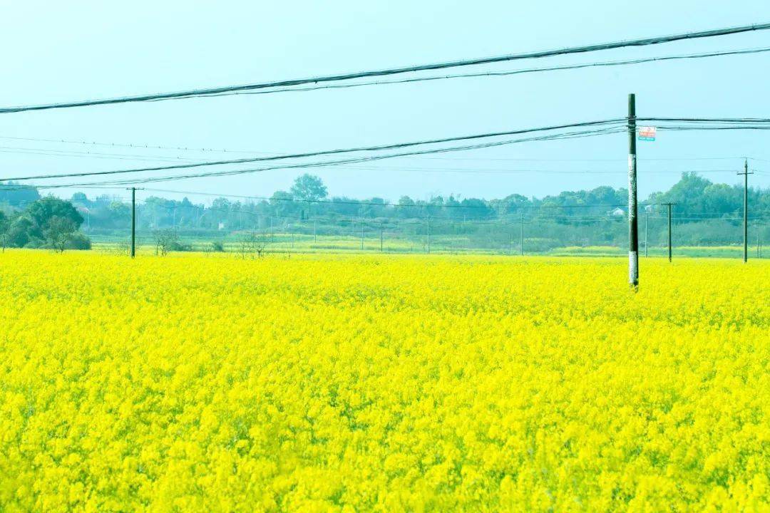 30首春游诗词共赏最美春光