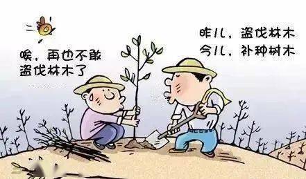 学习法律知识 保护生态环境_采伐_林木_森林法