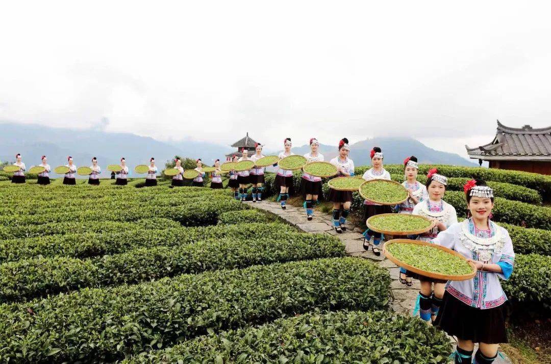 侗族播种节图片