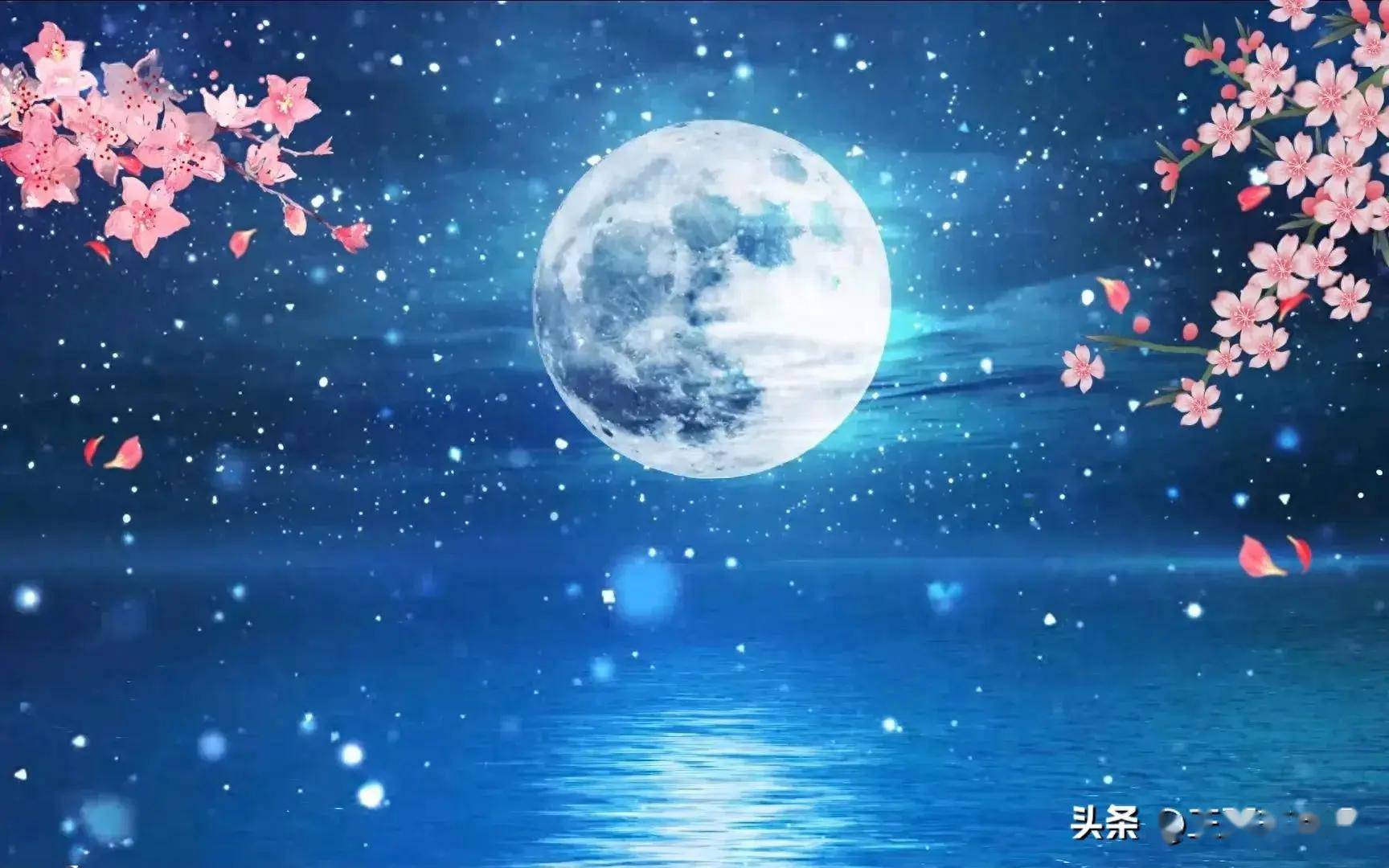 七律·春江花月吟