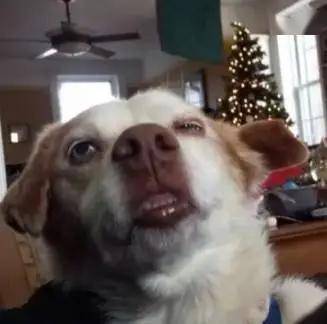 健康小知识打喷嚏超能力者