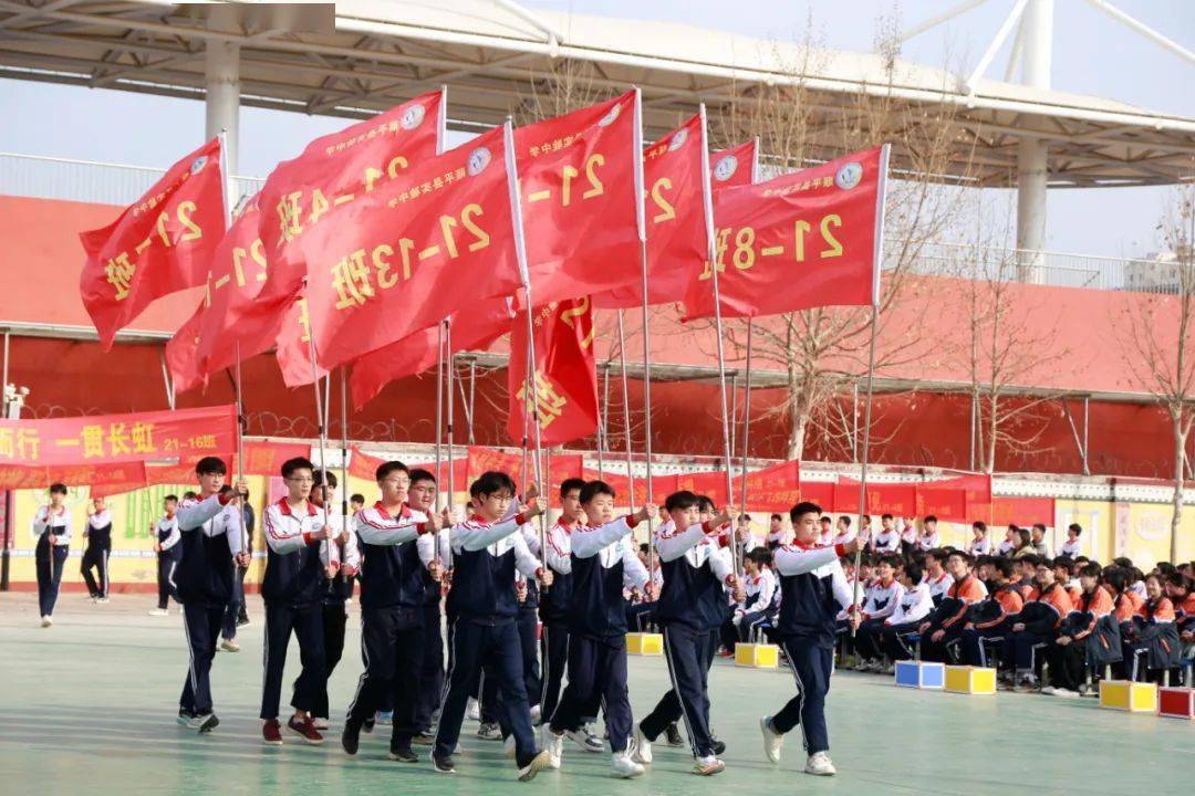 顺平实验中学校花图片