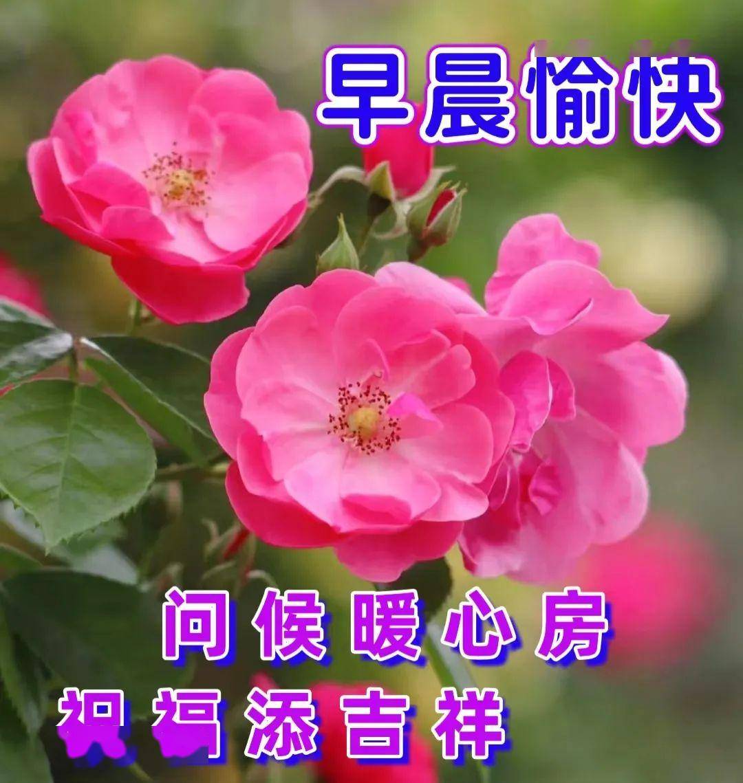 2024年3月18日周一早上好图片大全最美漂亮早上好祝福语图片