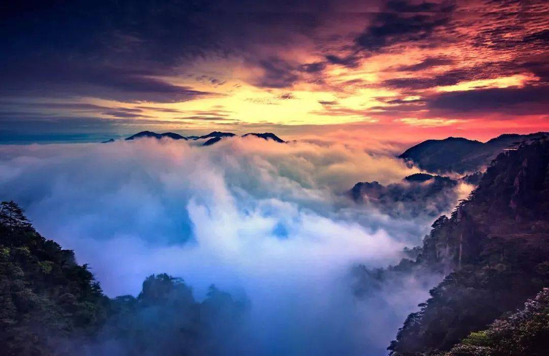 雨后初霁,江西云海的首选观赏位在这里!_云雾_龙虎山_庐山