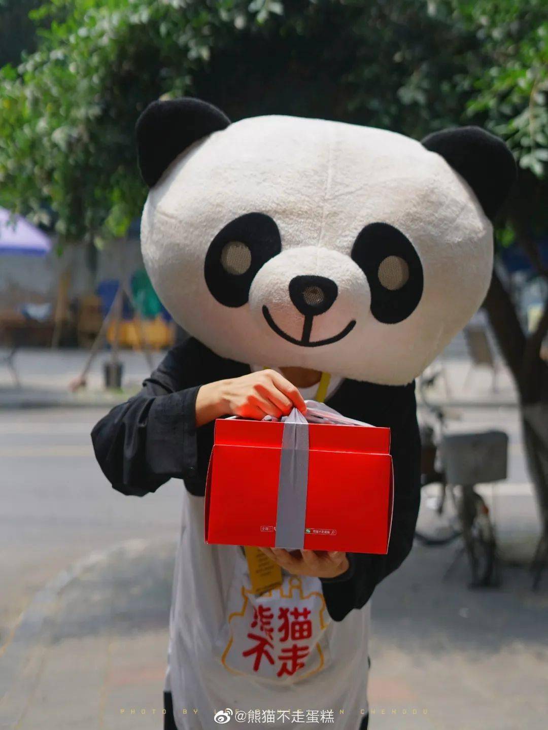 老板失联,门店暂停接单!_蛋糕_熊猫_员工