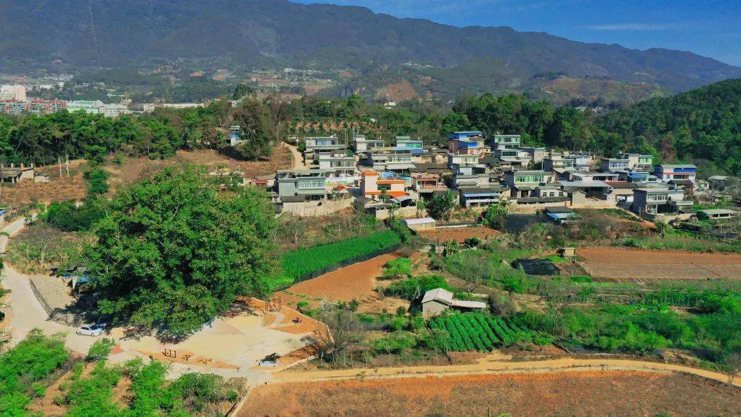 走进永德县德党镇大田自然村,映入眼帘的是醒目的寨门石,宽敞整洁的