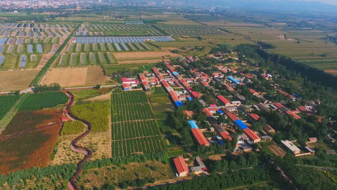 凝心聚力抓发展砥砺前行再扬帆浮山县张庄镇统筹推进重点工作激活乡村