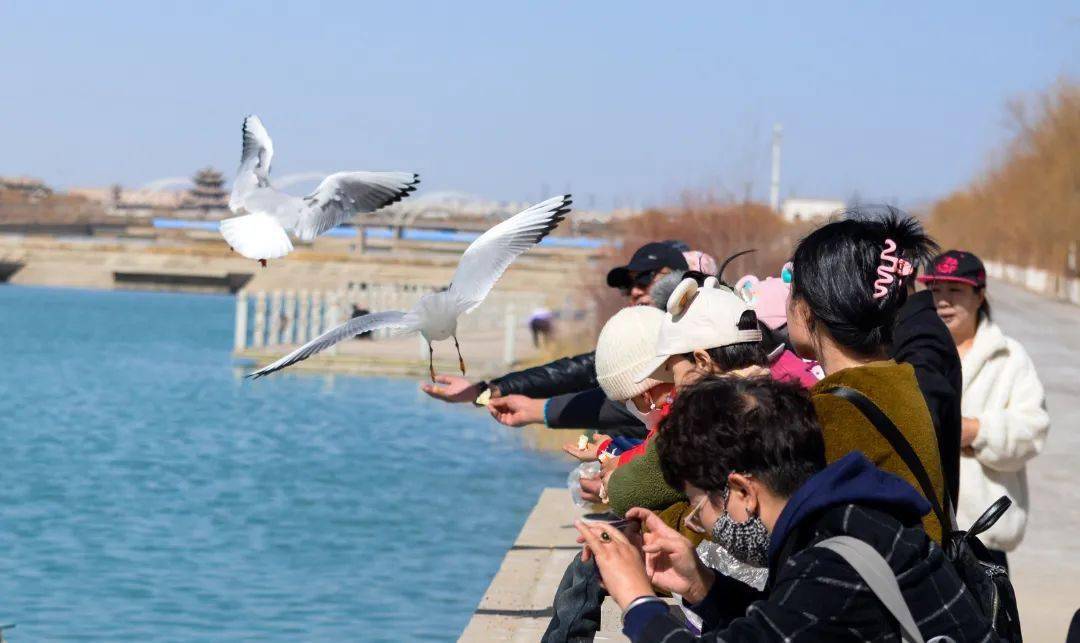 嘉峪关这些画面你见过吗随便拿一张照片出来都能炫朋友圈