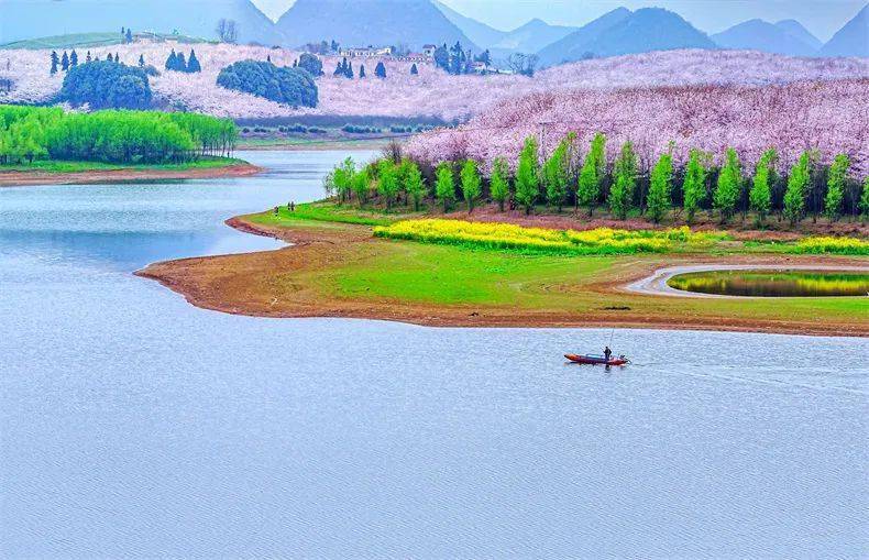 不宣传这里真是糊涂_安顺_平坝_花海