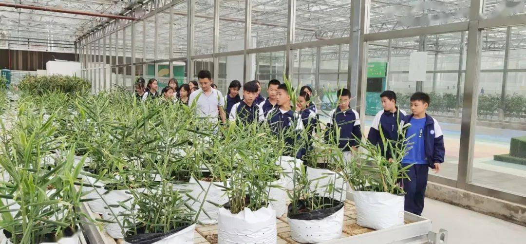家门口的好学校贵阳市公办强校巡礼70