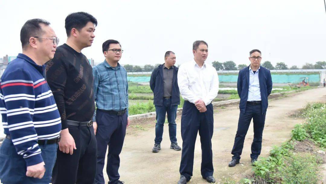 聚焦百千万工程丨廖家杰强化统筹精准施策全力做好水环境改善及春耕