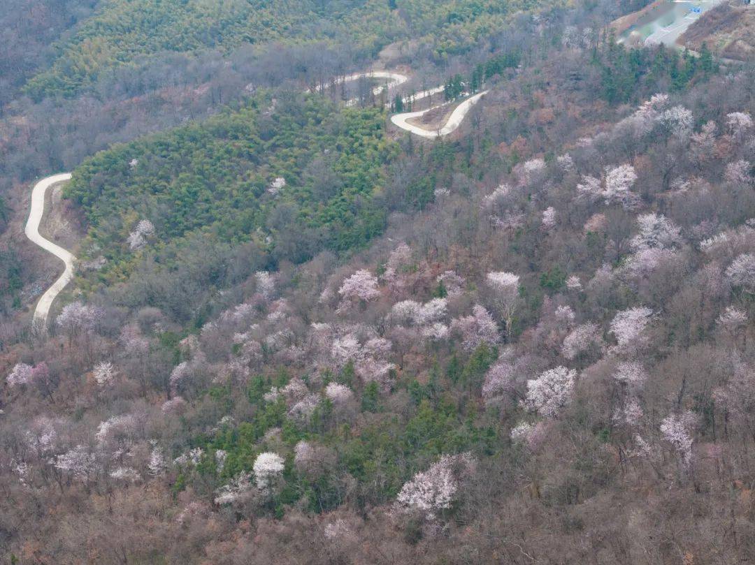 火箭式升俯冲式跌红安天气接下来