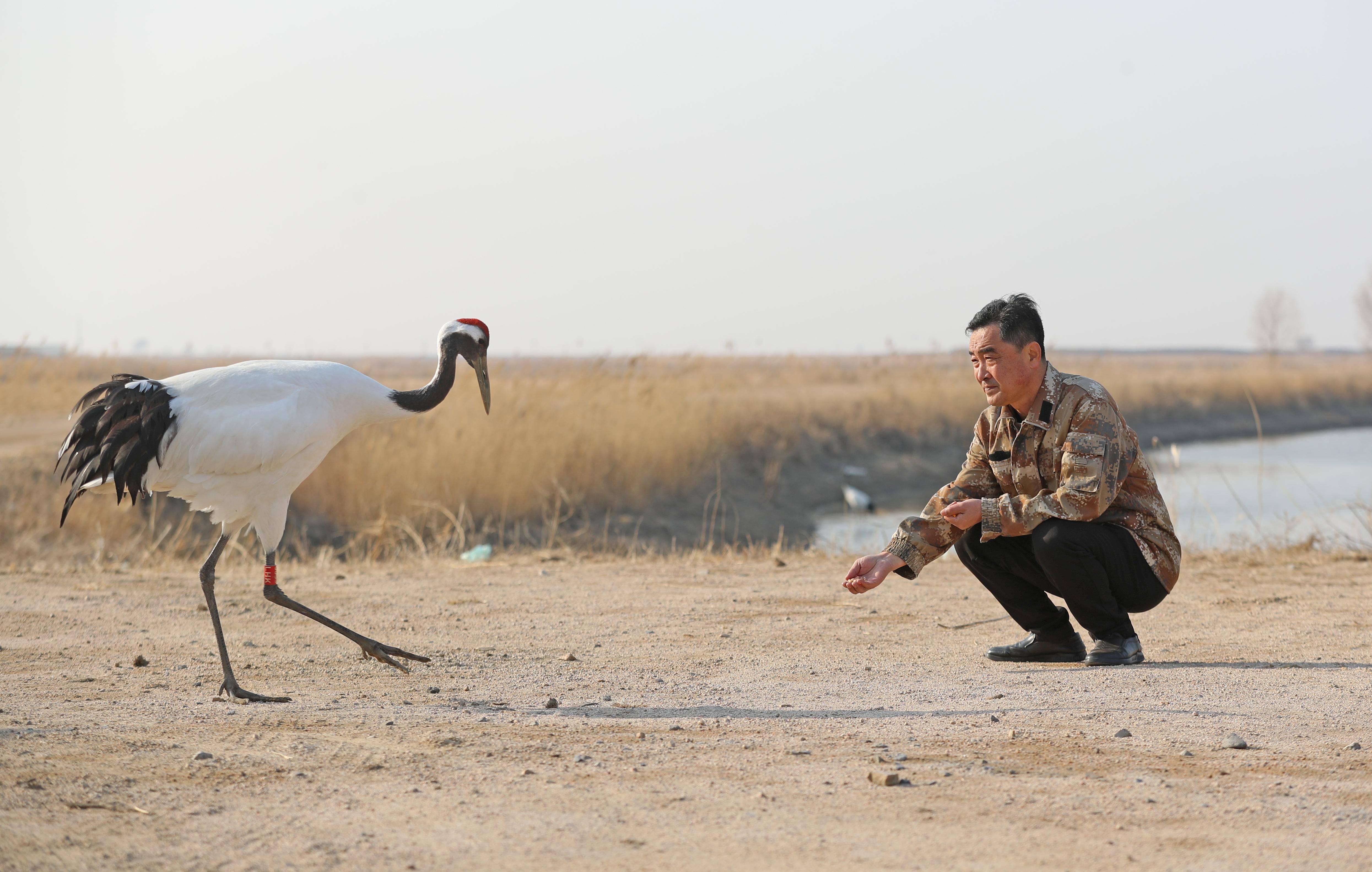 新华社记者 杨青 摄3月18日,赵仕伟在辽河口保