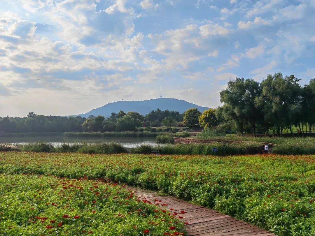 合肥大蜀山景点图片