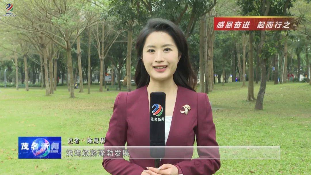 茂名:加快现代化海洋牧场建设 海洋产业多点开花 开发格局持续优化