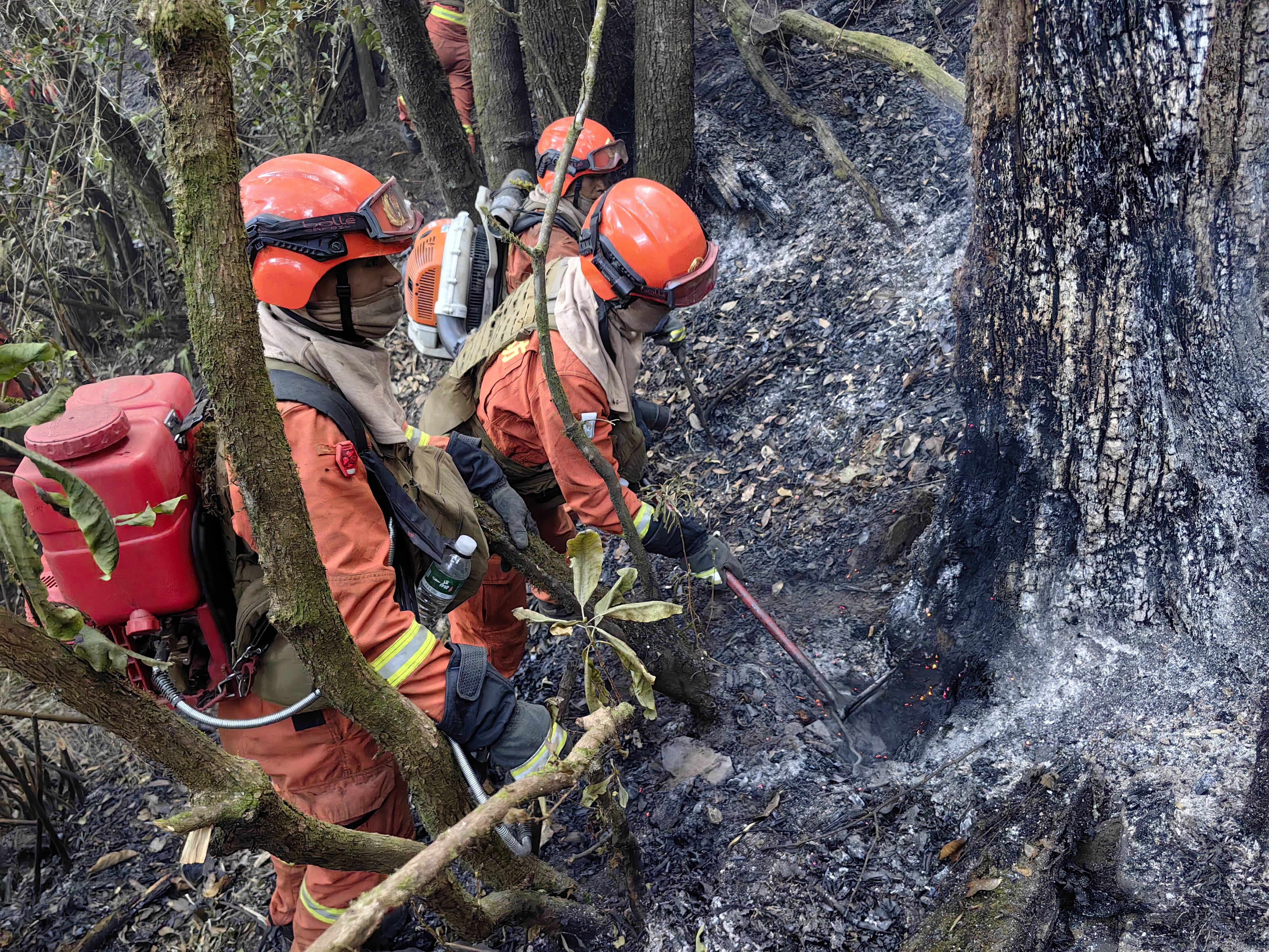 云南大理森林火灾被扑灭:未造成人员伤亡,火场转入清理看守阶段