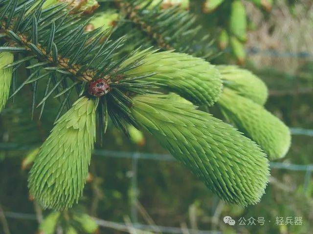 一百多年前的战争口粮如何补给质量如何