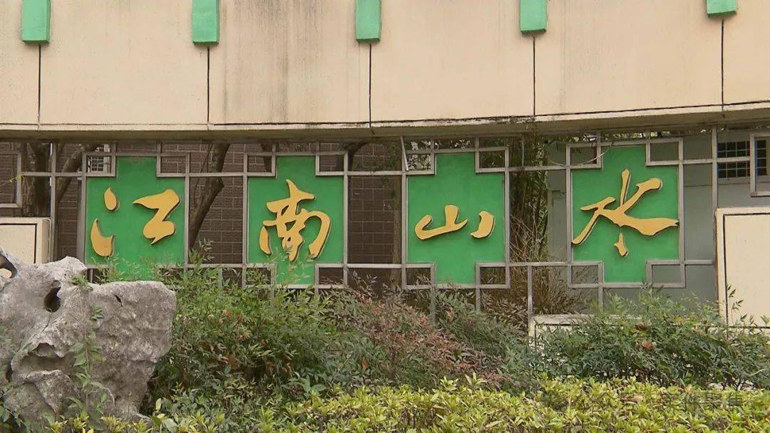 上海浦东一小区河道漂满油花还有黑水居民说每天要死十几条鱼