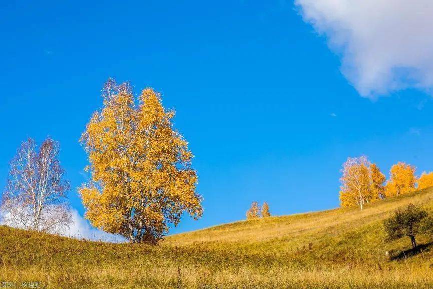 四季更迭岭上阿尔山何时最美