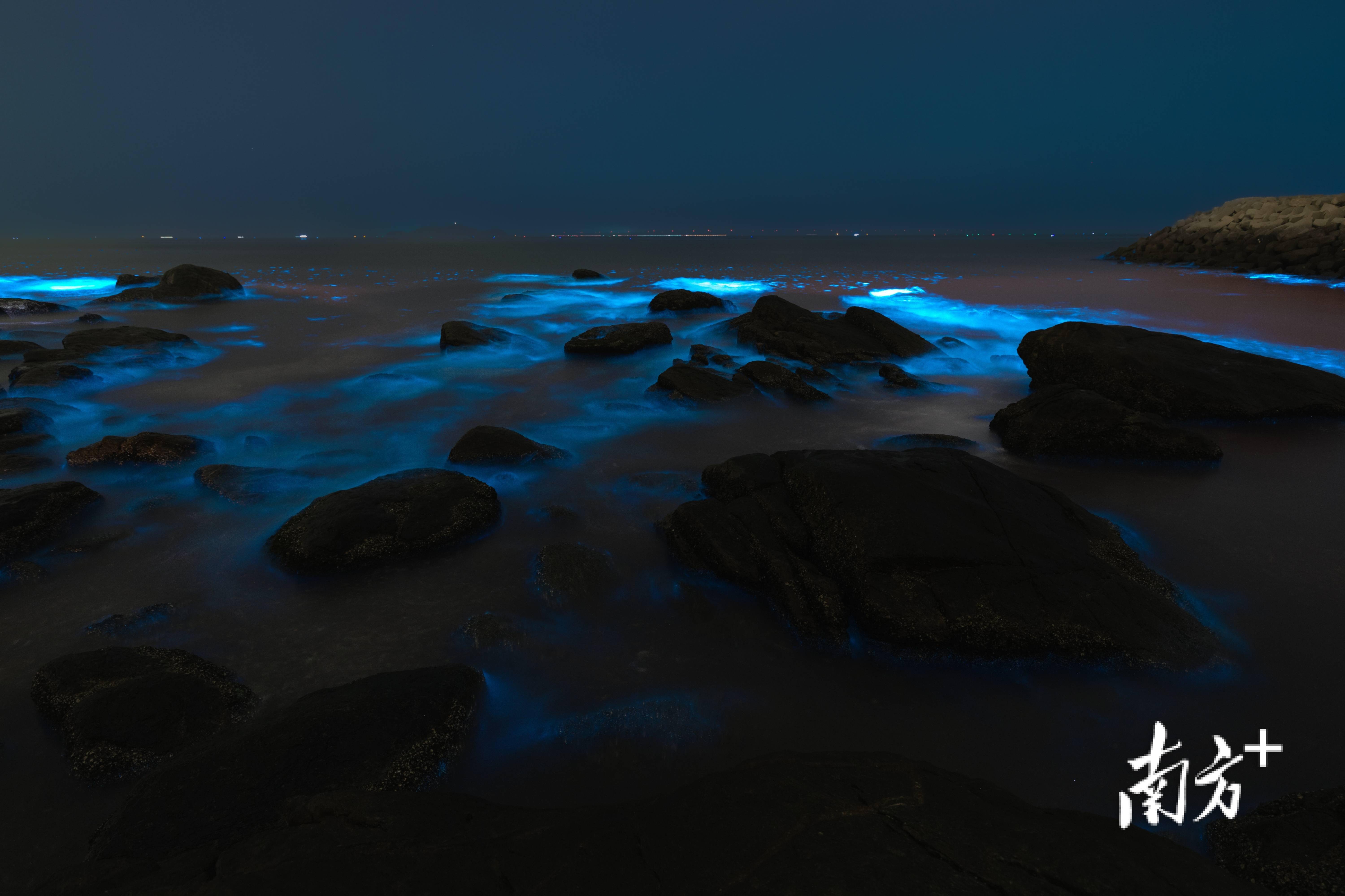 茂名海域现梦幻蓝眼泪_阿响_摄影_荧光