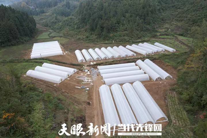 沿河后坪乡和美乡村焕发新活力