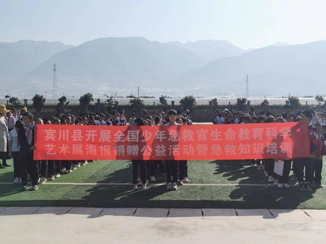 工作动态宾川县开展全国少年急救官生命教育科学艺术展海报捐赠公益