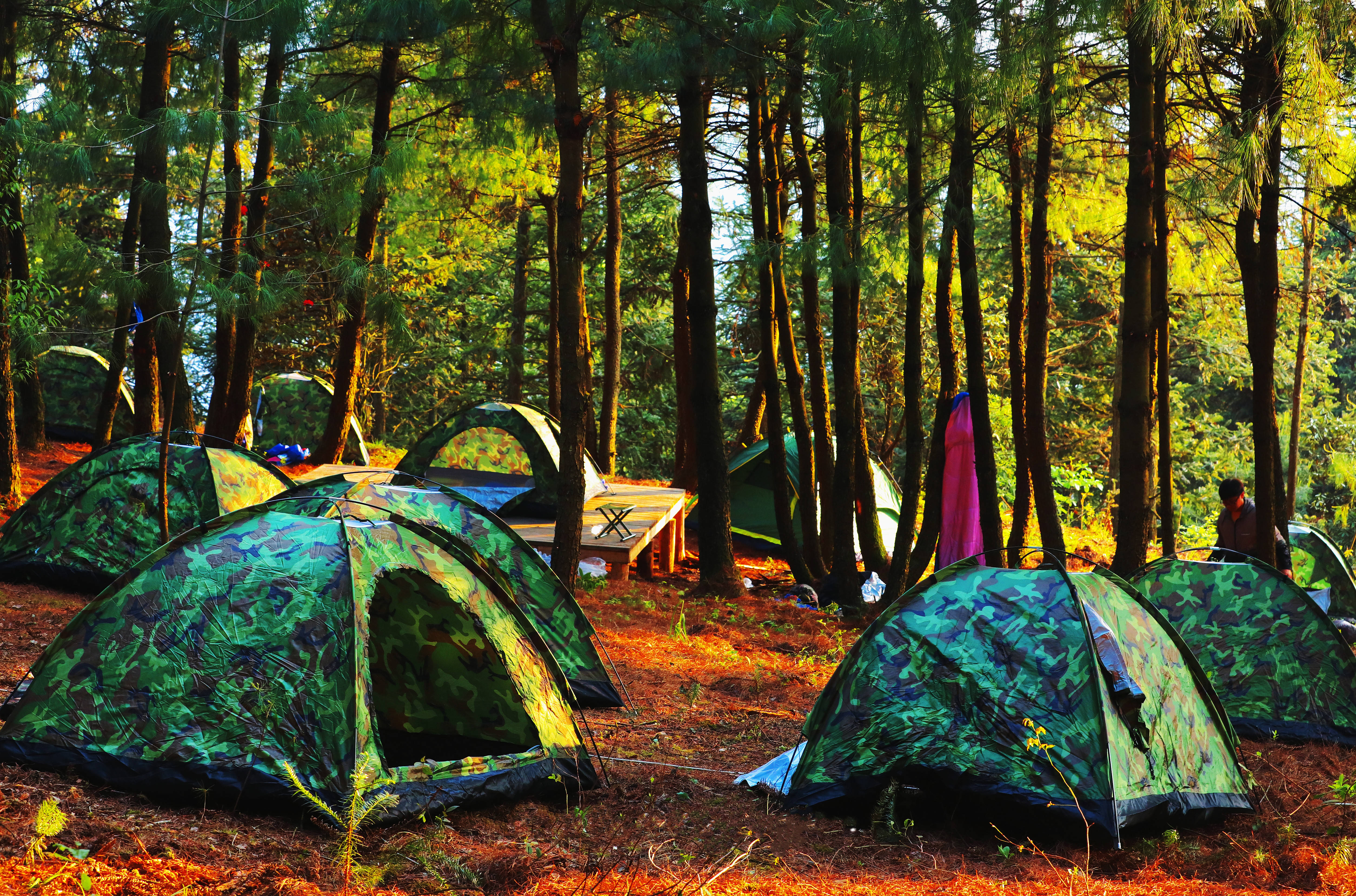 火"出圈"!岩博彝人谷啥体验?太好玩了……_景区_博村_贵州