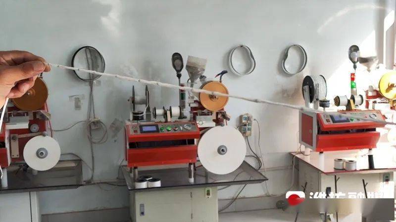 潍坊日报潍坊寿光跨纬度打造胡萝卜种植基地实现产出不