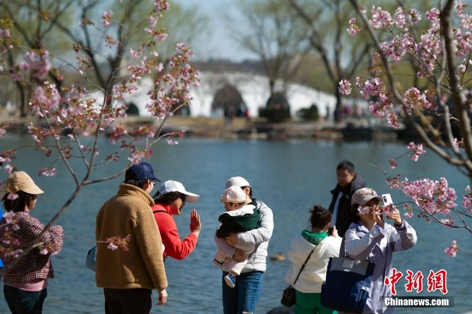 春分时节市民北京玉渊潭公园游园赏花