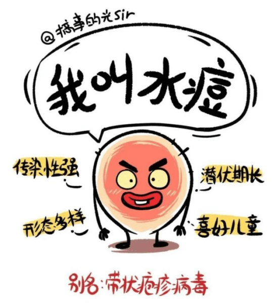 是由水痘——带状疱疹病毒引起的一种传染性很强的疾病,潜伏期在10