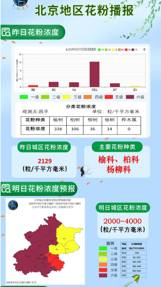 西城疾控提醒您近期花粉浓度极高如何做好防护