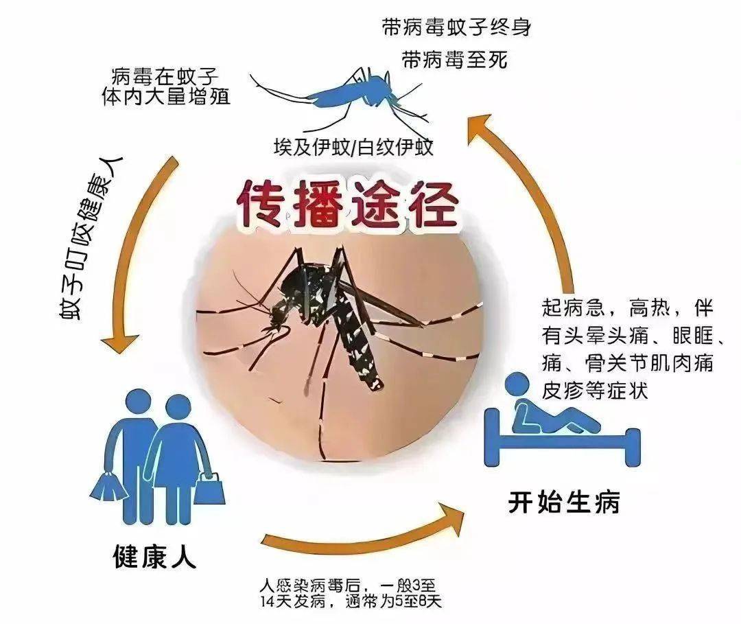 part.5疟疾一,现状疟疾是一种急性发热疾病,由疟原虫引起