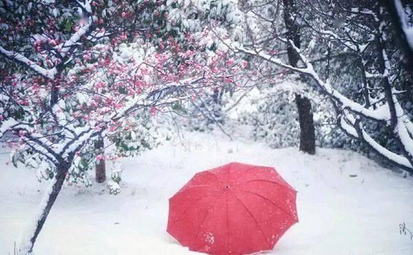 依依沧海飞尘人世因缘了