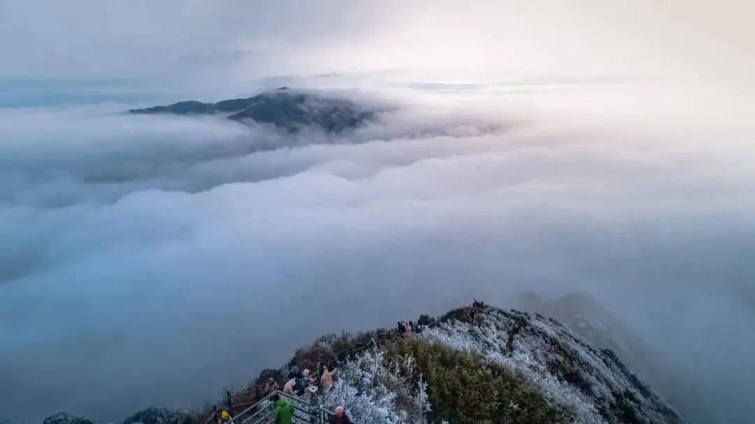 2天1晚玩转清远金子山生态风景区~含双早 登山 玻璃桥 索道