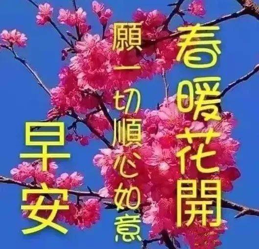 7815开启春天的希望,7815送上春天的祝福,7815愿你春风