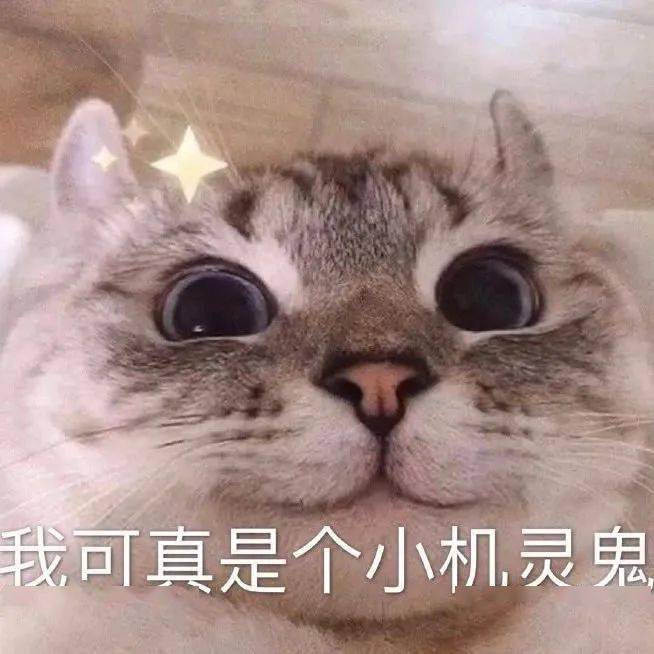 绵阳这条航线将加密至每天2班中转出境机票含税低至