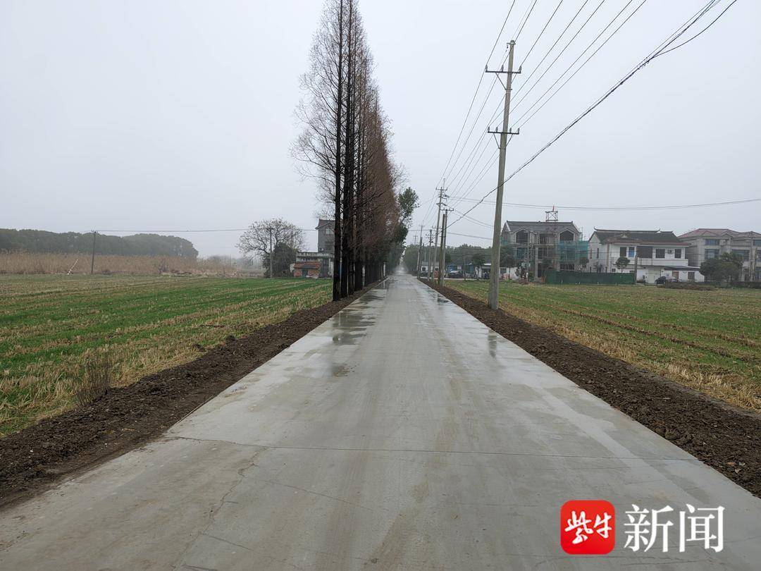 我为群众办实事常熟市董浜镇观智村心系群众脚下路修缮路面解民忧