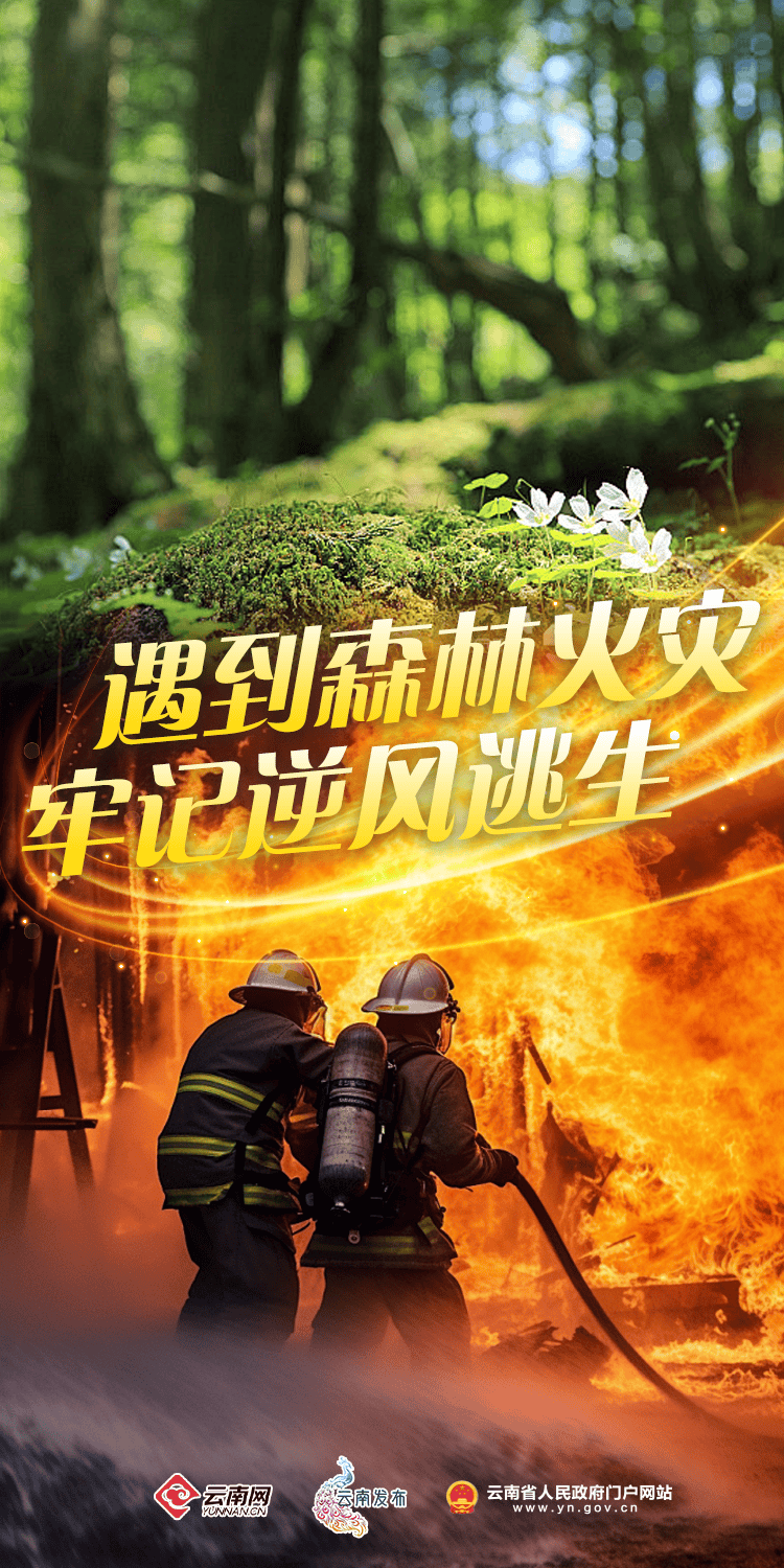 "林 火=焚"!春季防火请牢记→_森林_火灾_守护
