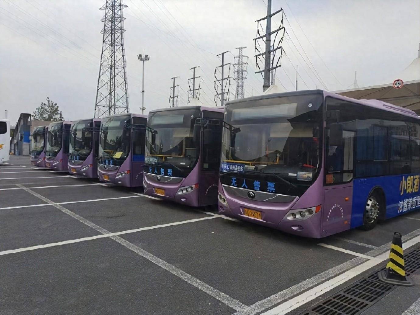 夜班返程无忧郑州至开封清明上河园旅游专线周五开通