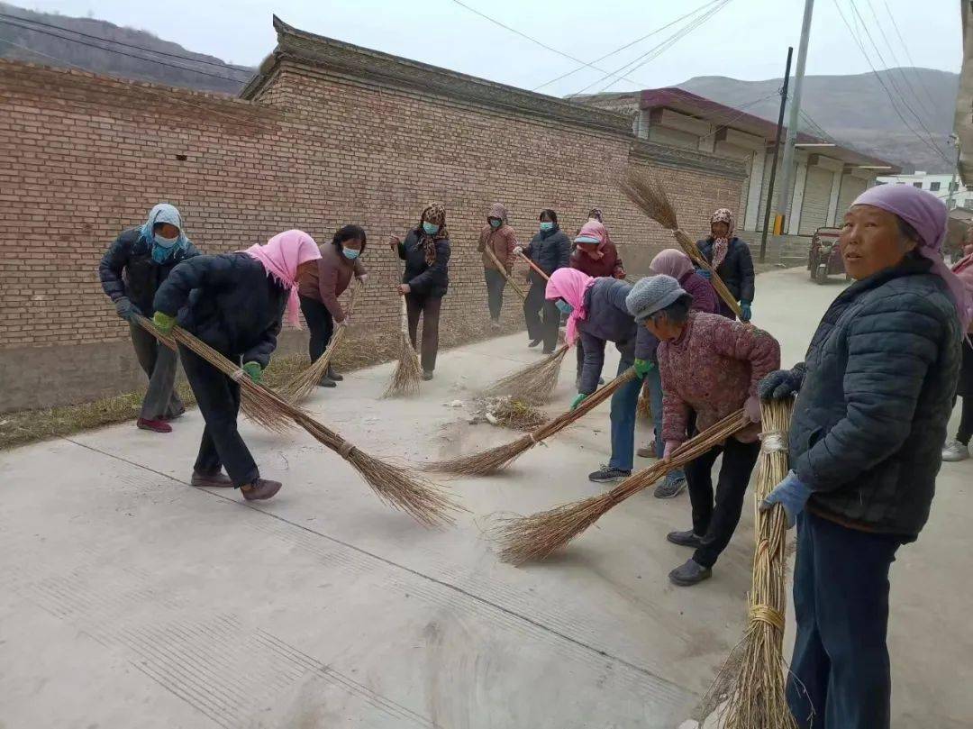 村级动态李家河村全民总动员全域无垃圾