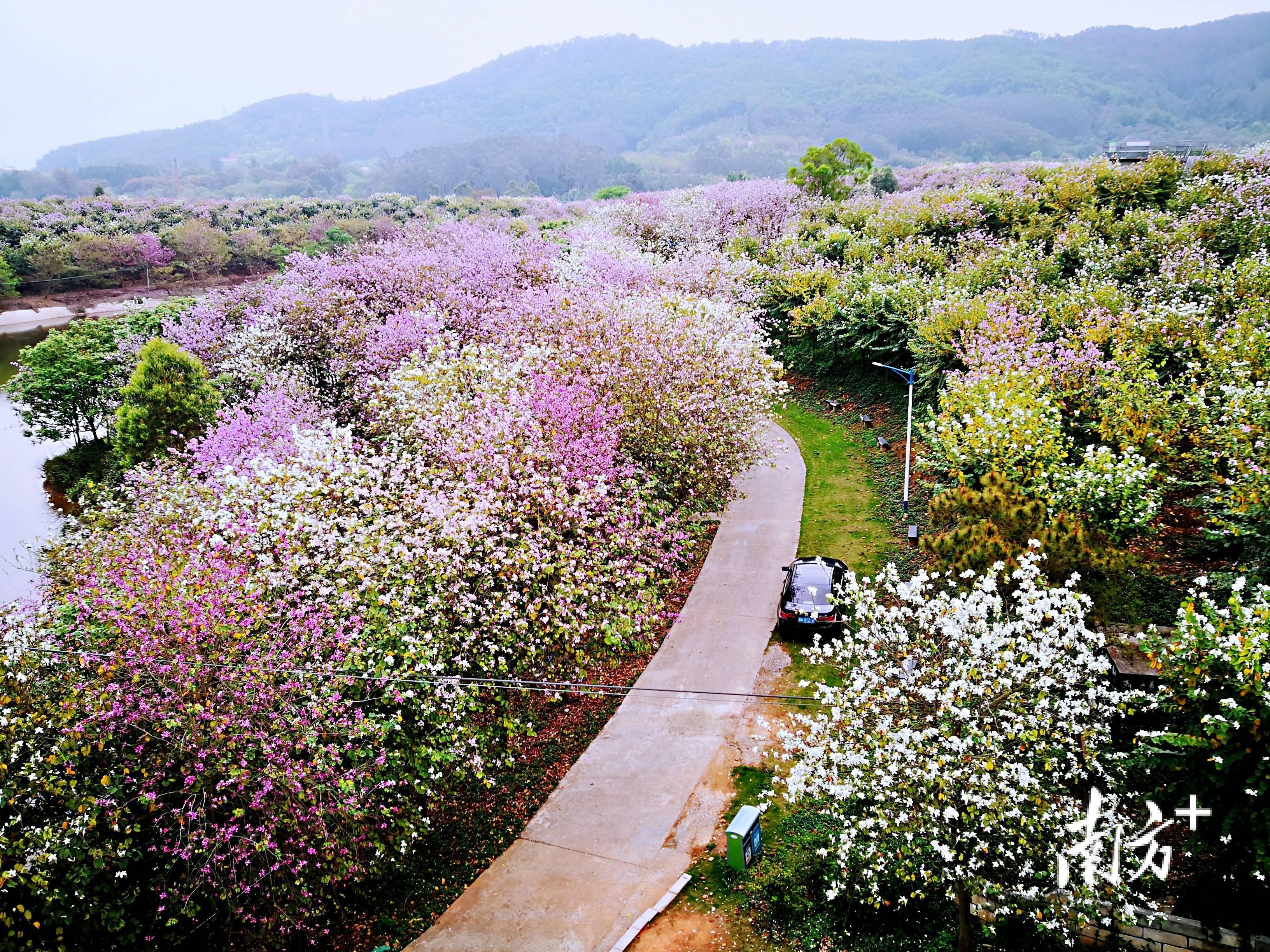 花都区十大免费景点图片