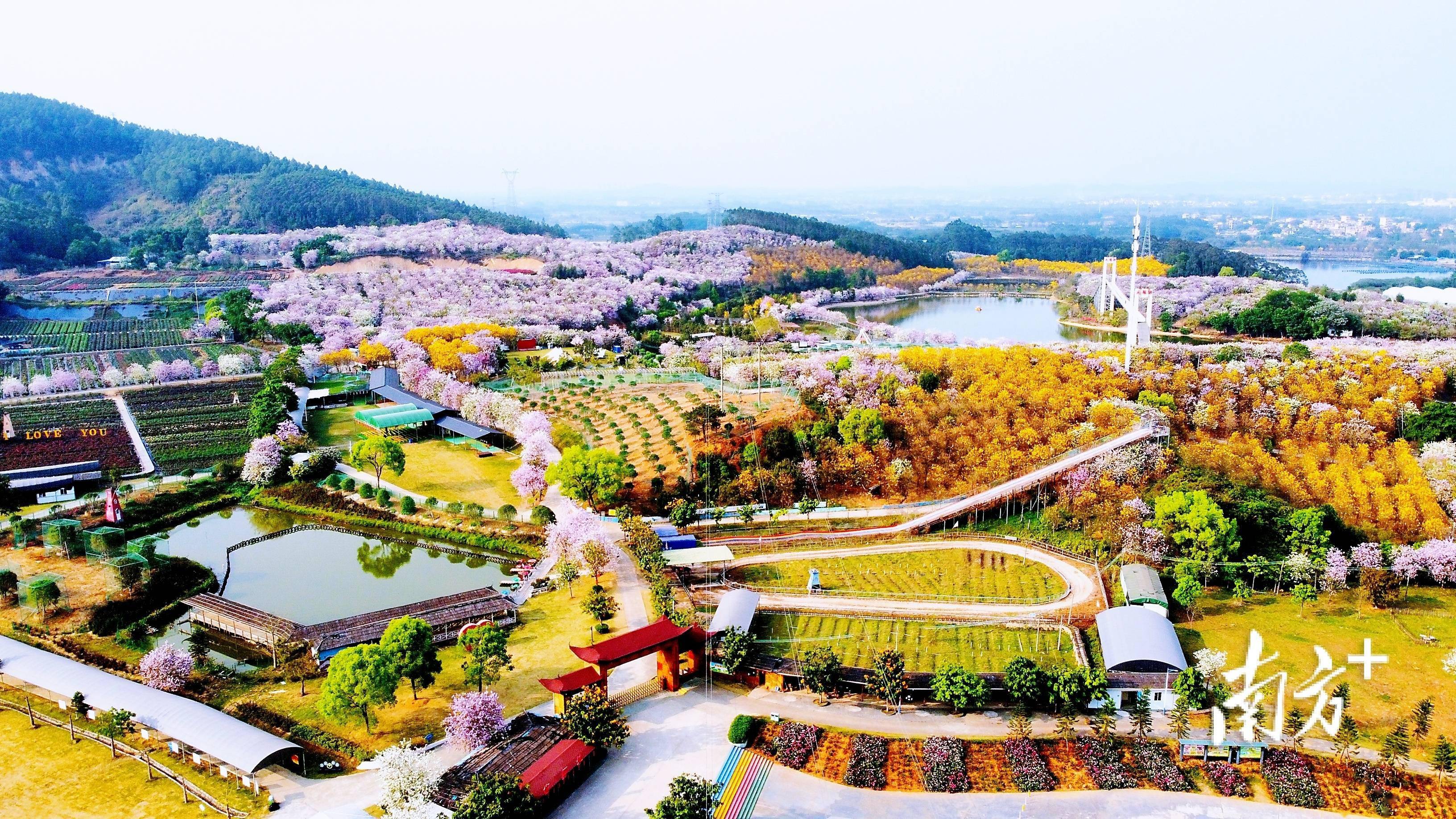 花都区十大免费景点图片