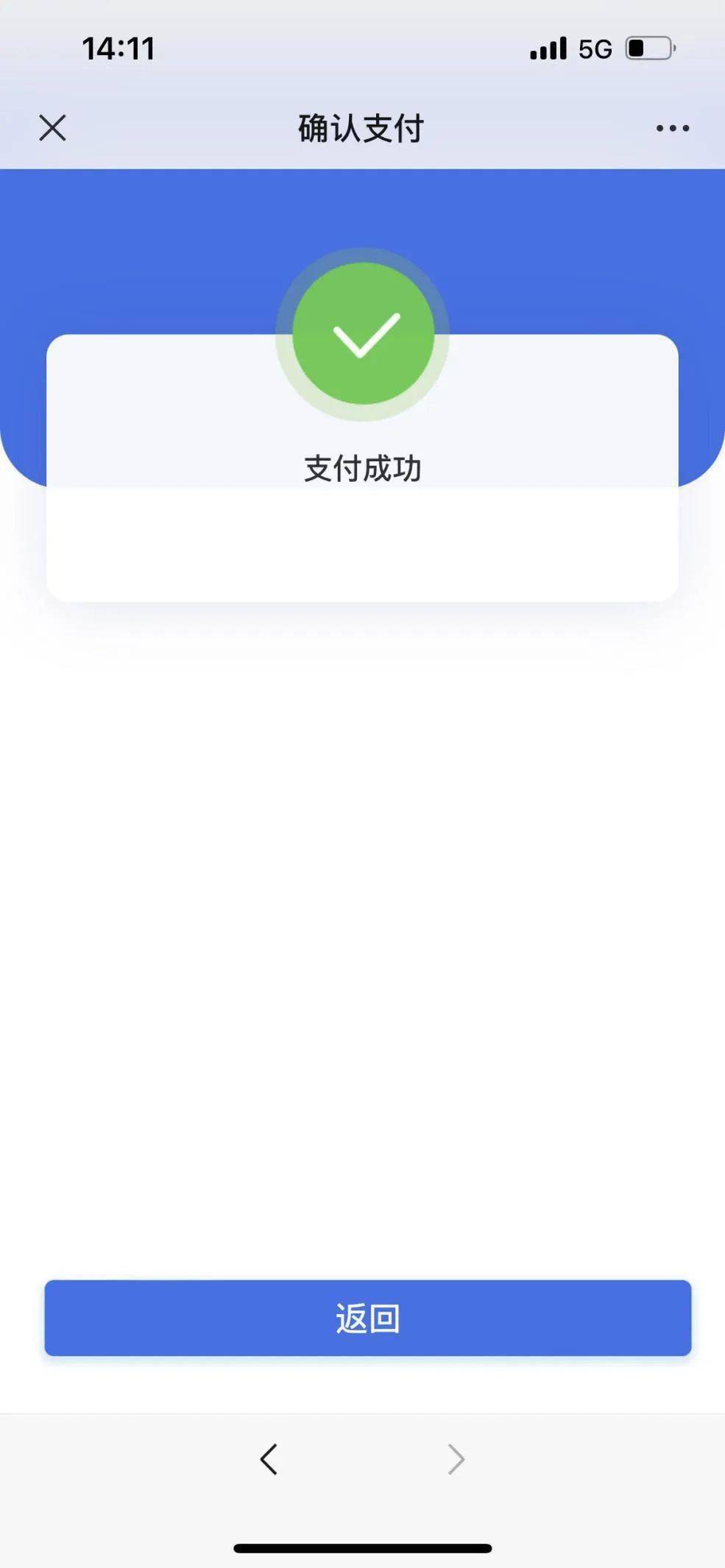 苹果手机支付成功图片图片