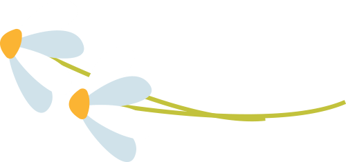 会员金地物业丨金地智慧服务集团华中区域公司长沙片区收获多项荣誉