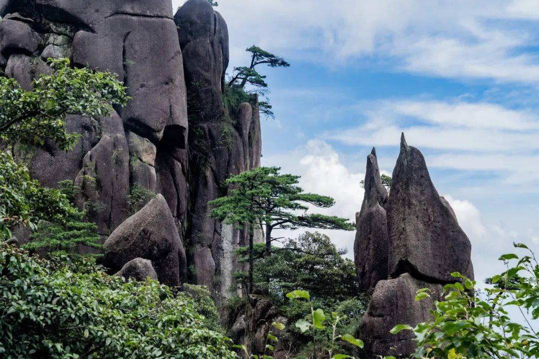 婺源篁岭的地势得天独厚,每年二月底,山下平原花海