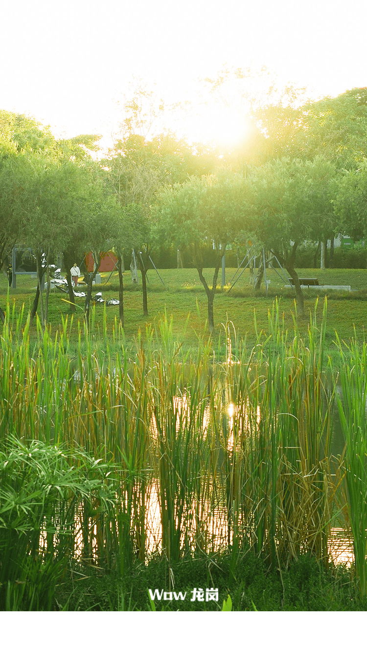 就在明日→_低碳_坪地_生活
