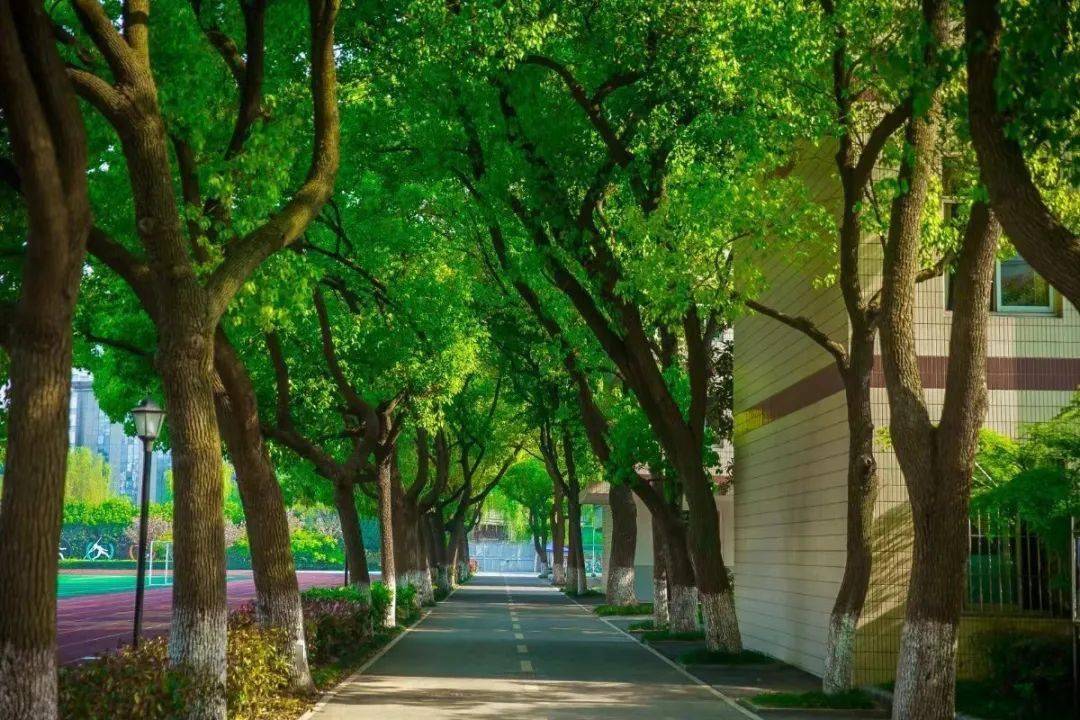 嘉兴市实验初中教育