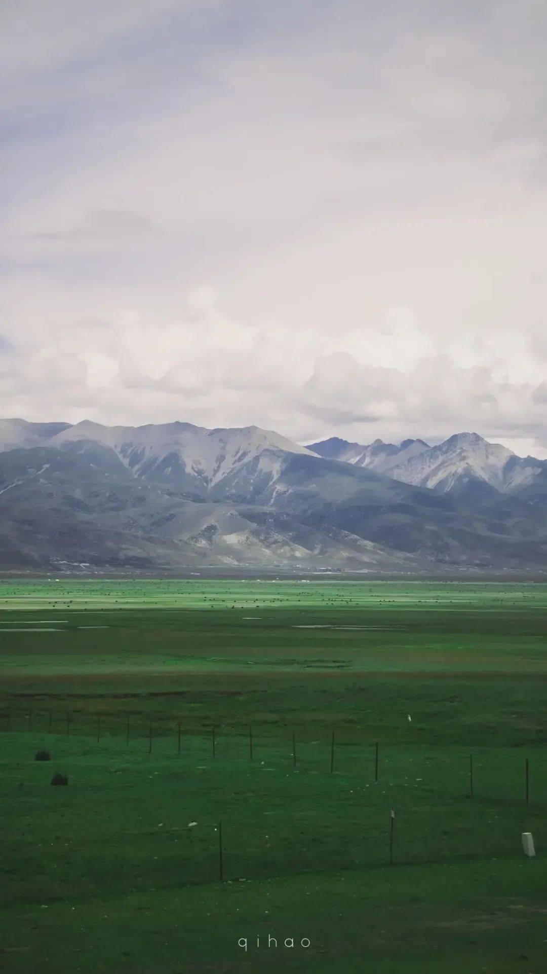 看到那么多小伙伴留言要看高清,公众号回复"壁纸",即刻得到!