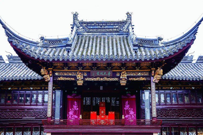 新华记忆一曲悠扬六百年花开遍地驻青春从新华日报看