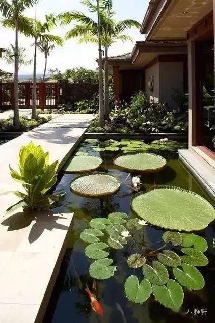 在庭院设计中,水的力量是强大的,它既可以滋养生命,从风水的角度来说